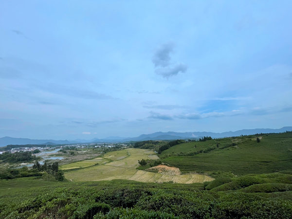 “横渡乡村”、“艺术在浮梁”项目 以艺术之名行走与呼唤