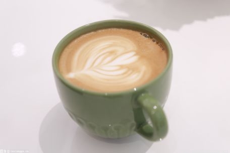 澳大利亚研究人员表示：过量摄入咖啡或损伤大脑