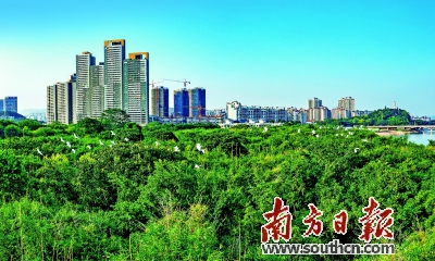 深圳宝安将打造世界级先进制造城、国际化湾区滨海城 