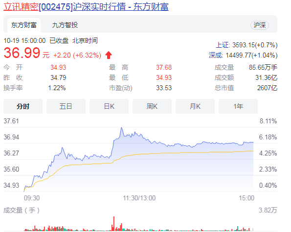 立讯精密涨6.32%目前报价36.99元 这家企业主要是干什么的？