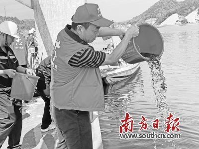 梅州高陂水利枢纽首次对韩江进行鱼类损失补偿性放流 