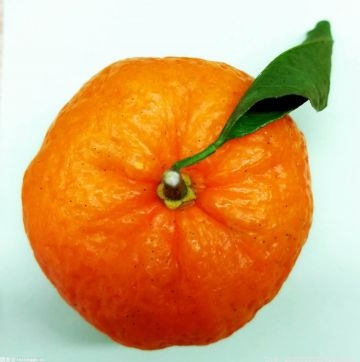 橘子吃多了真的会变成小黄人吗？为什么橘子吃多了皮肤会变黄