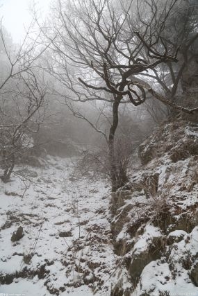 11月7日，立冬 2021年冬的第一场雪