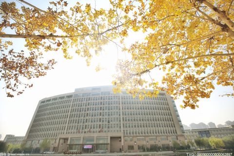 昆明这3个公园是市民欣赏枫叶的好去处