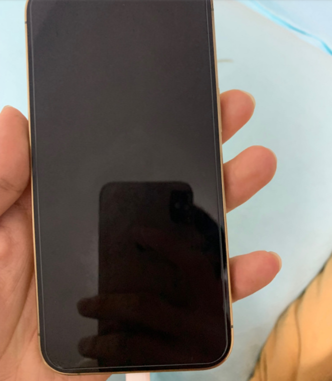 力争人手一部?曝iPhone 13系列零部件短缺开始缓解