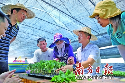 广东省梳理20项重点民生项目 扎实解决群众“急难愁盼”问题