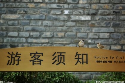 晋宁南滇池国家湿地公园迎来今年首批来越冬的26只候鸟——赤麻鸭