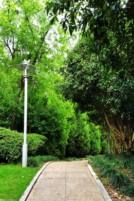 南京市：绿道与明城墙和沿途山水有机融合
