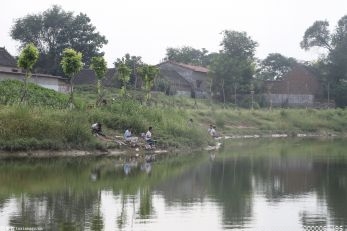 赣江中大量“四大家鱼”如何“越过”峡江大坝洄游？ 
