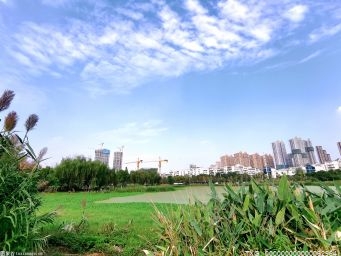 天津市全面摸查土地利用状况 耕地林地湿面积均增加