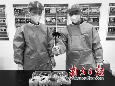 广州海关在进境邮件监管渠道查获活体“异宠”甲虫6只