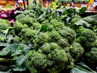 蔬菜价格高位运行态势仍会持续具体原因是什么?