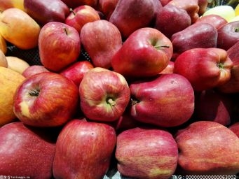 苹果大量上市的季节 好吃的苹果有些挑选小技巧