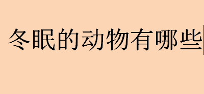 什么动物会冬眠？冬眠的动物有哪些？动物冬眠分为几个阶段？