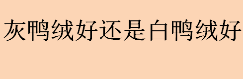 灰鸭绒好还是白鸭绒好？白鸭绒和灰鸭绒的区别有哪些?