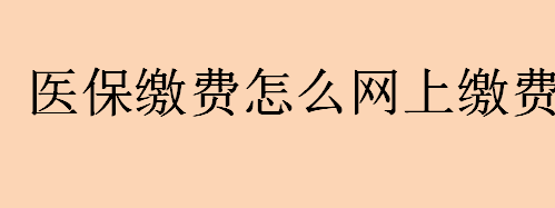 医保缴费怎么网上缴费？医疗保险网上怎么缴费？医疗保险网上缴费流程 