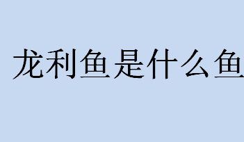 龙利鱼是什么鱼？什么是龙利鱼？龙利鱼的营养价值介绍