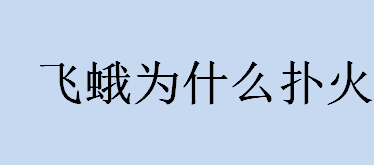 飞蛾为什么扑火？飞蛾扑火的原因？飞蛾扑火的特点介绍