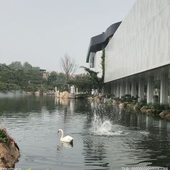 全国首笔肉鹅活体抵押贷款在汕头落地