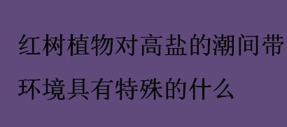 红树植物对高盐的潮间带环境具有特殊的什么？红树植物的作用介绍