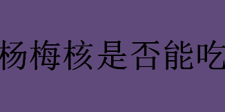 杨梅核是否能吃？杨梅核能不能吃？杨梅核有食用价值吗？