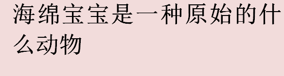 海绵宝宝是一种原始的什么动物？海绵宝宝是什么动物？