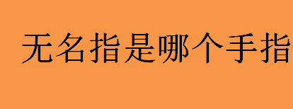 无名指是哪个手指？结婚戒指为什么戴在无名指上？