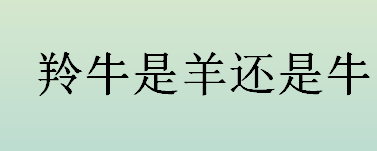 羚牛是羊还是牛？羚牛经常栖息于几千米的高寒地区？