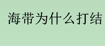 海带为什么打结 海带为什么不能和柿子一起吃