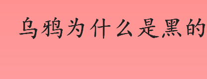 乌鸦为什么是黑的 乌鸦的羽毛呈黑色是什么原因