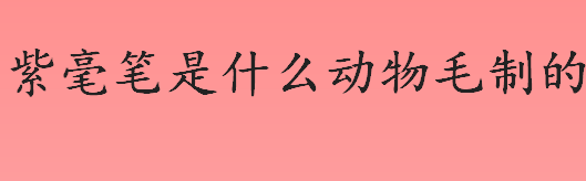 紫毫笔是什么动物毛制成的？紫毫笔原料是什么动物的毛？