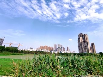 天津港保税区入选第三轮中欧合作中方案例地区