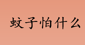 蚊子怕什么？蚊子害怕什么东西？蚊子的生物天敌有哪些？