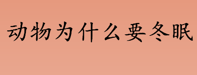 动物为什么要冬眠 动物冬眠的原因揭秘