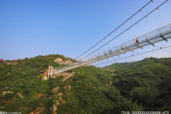 新楚大高速栗子山脚特大桥正在冲刺通车目标