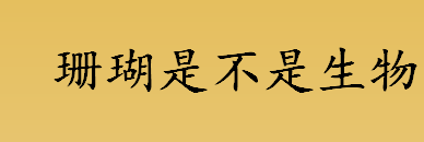 珊瑚是不是生物？珊瑚虫是什么？浅水石珊瑚生长的海水盐度是多少？