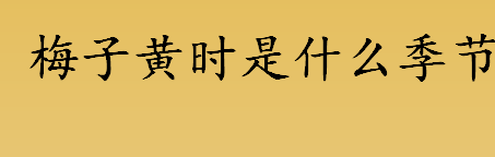 梅子黄时是什么季节？梅子黄时指的是哪个季节？梅子黄时日日晴下一句？