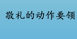 敬礼分为哪几种类型？敬礼的动作要领有哪些？