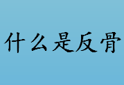 什么是反骨？反骨面相的优点是什么？具有反骨面相的人性格怎么样