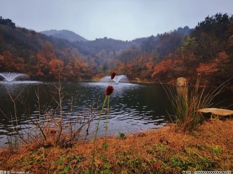 各OTA的抢客大战拉开序幕 温泉滑雪跨年安排上了