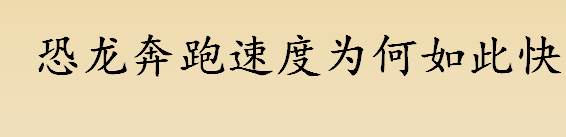 兽脚类恐龙在陆地上的奔跑速度能有多快？捕食性恐龙的奔跑速度介绍