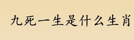 九死一生是什么生肖 九死一生是形容什么的