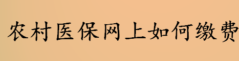 农村医保网上如何缴费 农村医保的作用及好处盘点