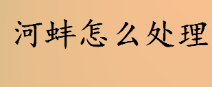 河蚌怎么处理？河蚌如何养殖？河蚌的处理方法介绍