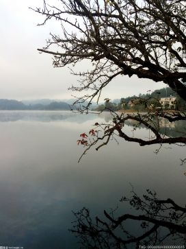 梅园新村、香林寺沟实施环境整治 让昔日棚户区蝶变水岸公园