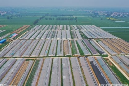 广东发布2021年省级现代农业产业园建设名单