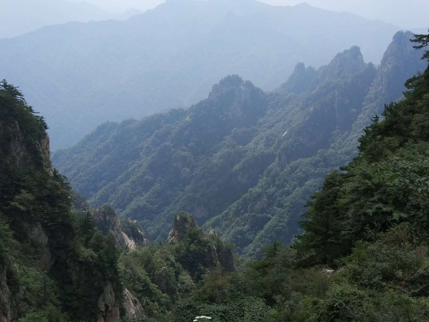 《中国科学院生物资源目录》发布 促进生物资源数据的集成