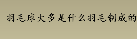 羽毛球大多是什么羽毛制成的？羽毛球的羽毛是什么动物的？羽毛球比赛规则 