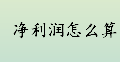 净利润怎么算？利润相当于什么？净利润的计算公式一览