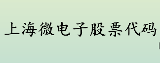 上海微电子股票代码是什么？公司上市的条件介绍